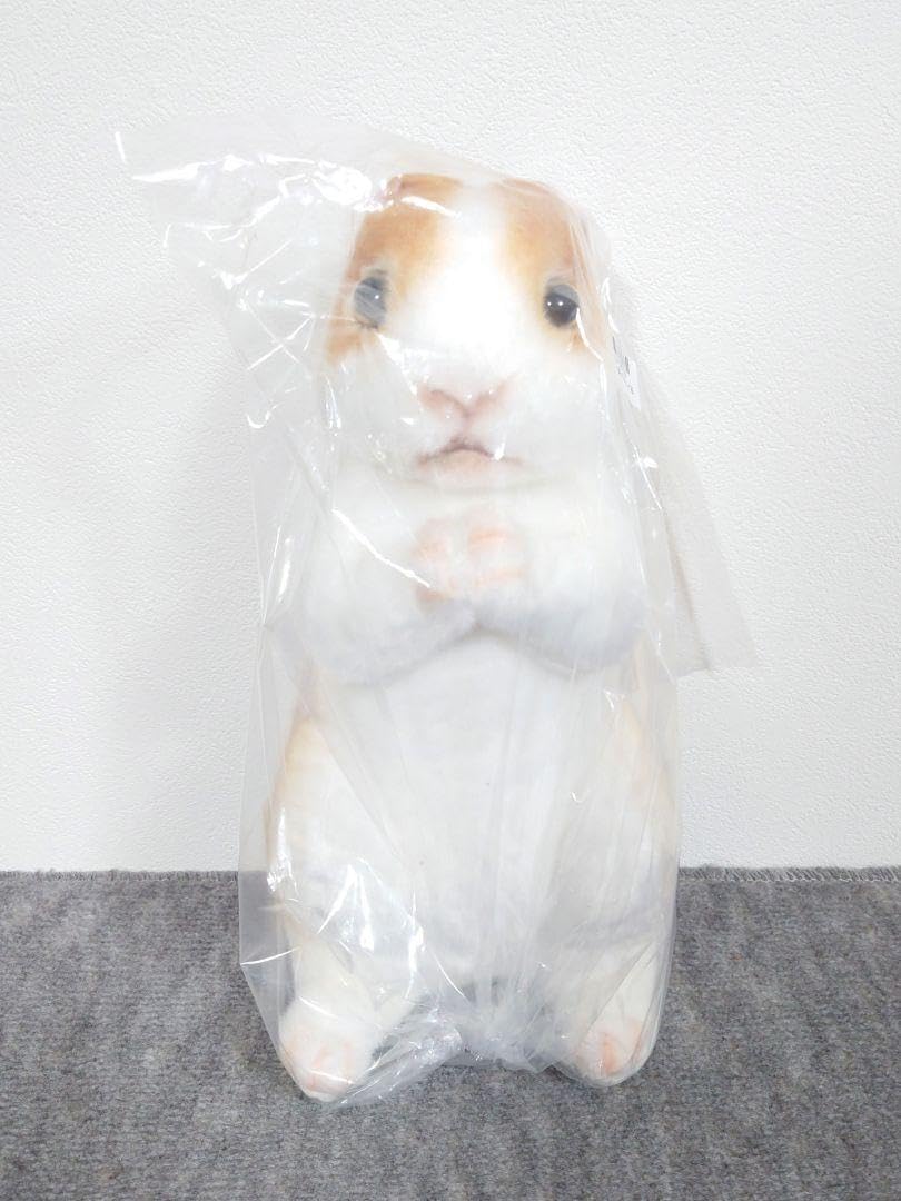 オレンジウサギのぬいぐるみ本体 Amazon.co.jp: ぬいぐるみ (うさぎ ウサギ) ロップイヤー S